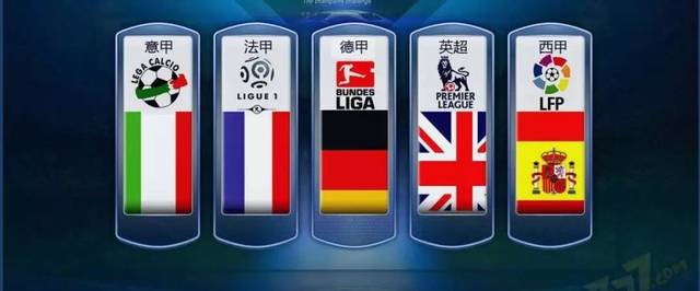 提供多样化 提供多样化